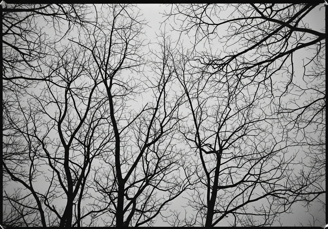 NEURAL PATHWAYS — 5